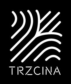 cocktail bar Kraków - Trzcina logo
